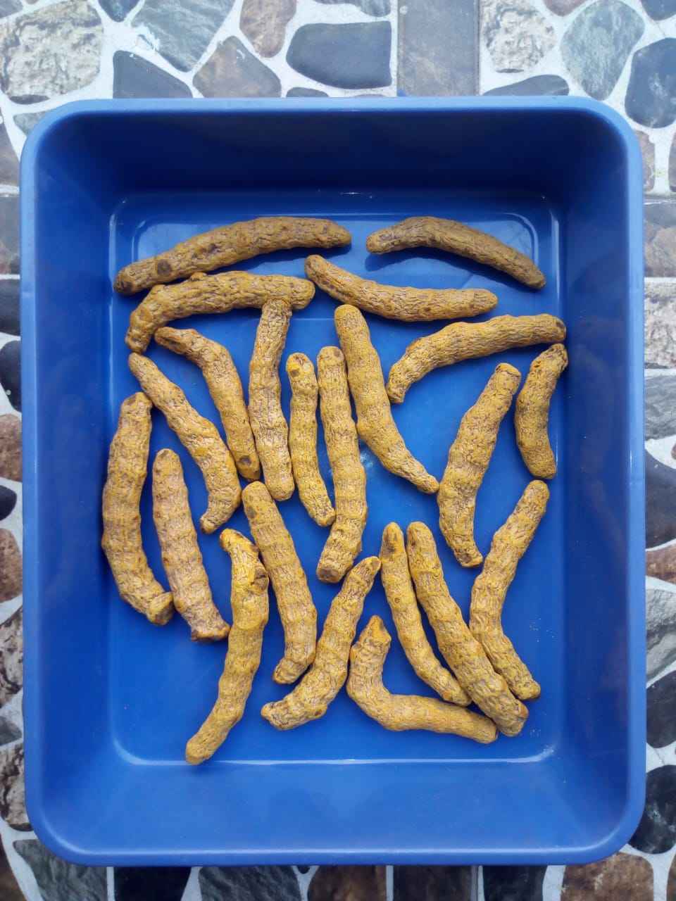 姜黄烘干成品